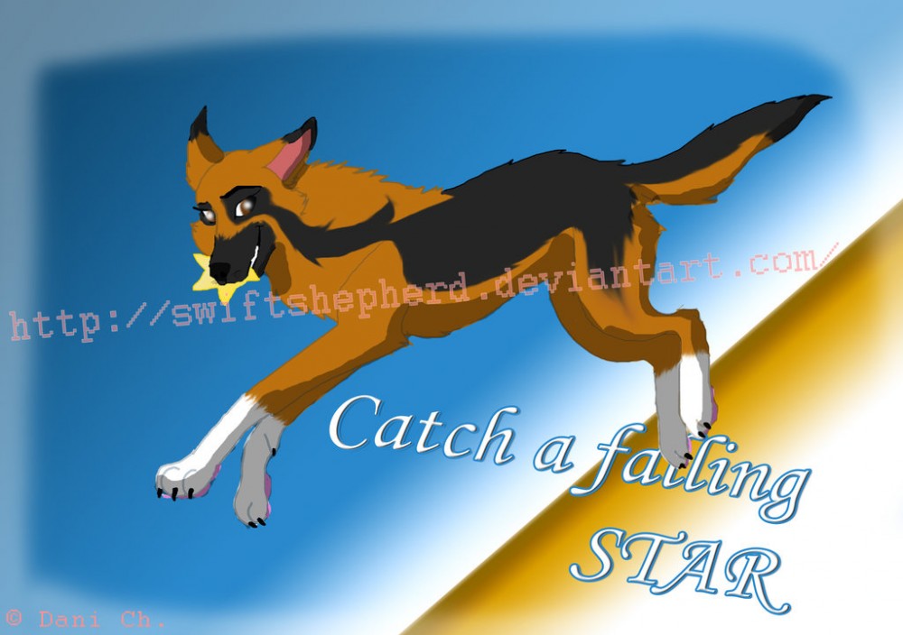 Catch a falling star