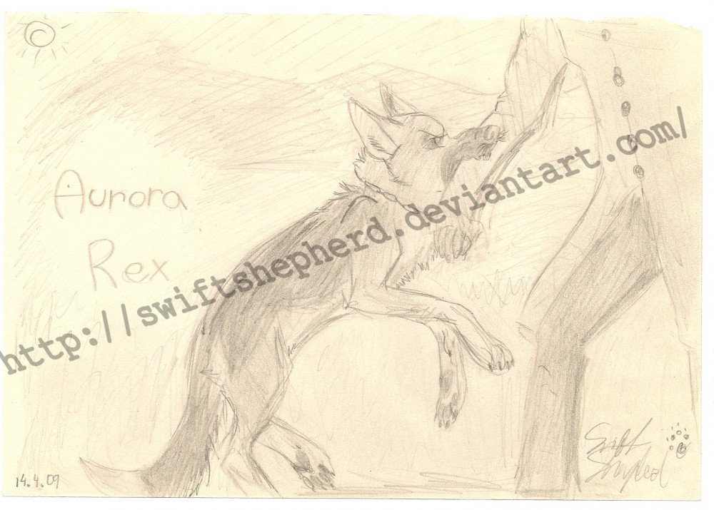 Aurora Rex-Just a common thing that police dogs do