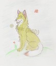 Goldie!