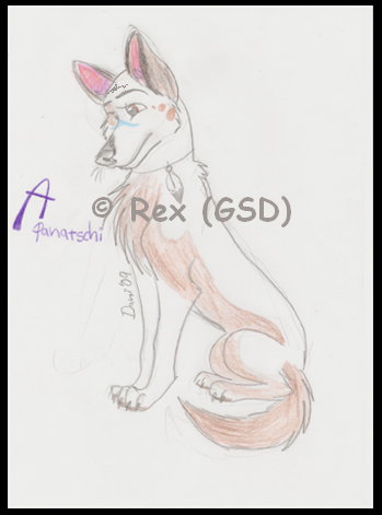 Apanatschi.... new desing?