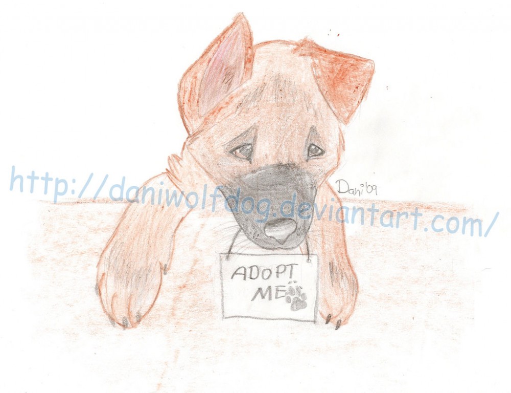 ADOPT ME.
