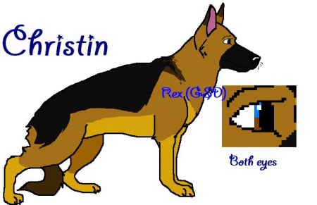 Finally Christin ref sheet!