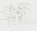 Balto sketchy