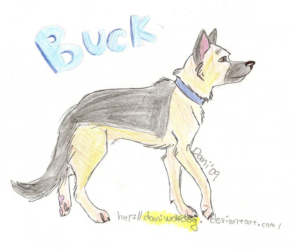 Buck!