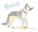 Buck!