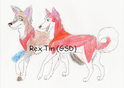 Red bandanas