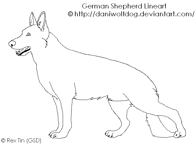 German shepherd lineart. Happy now?*SAVE IT TO JPG