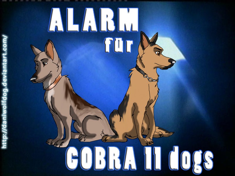 Alarm für Cobra 11 hunde