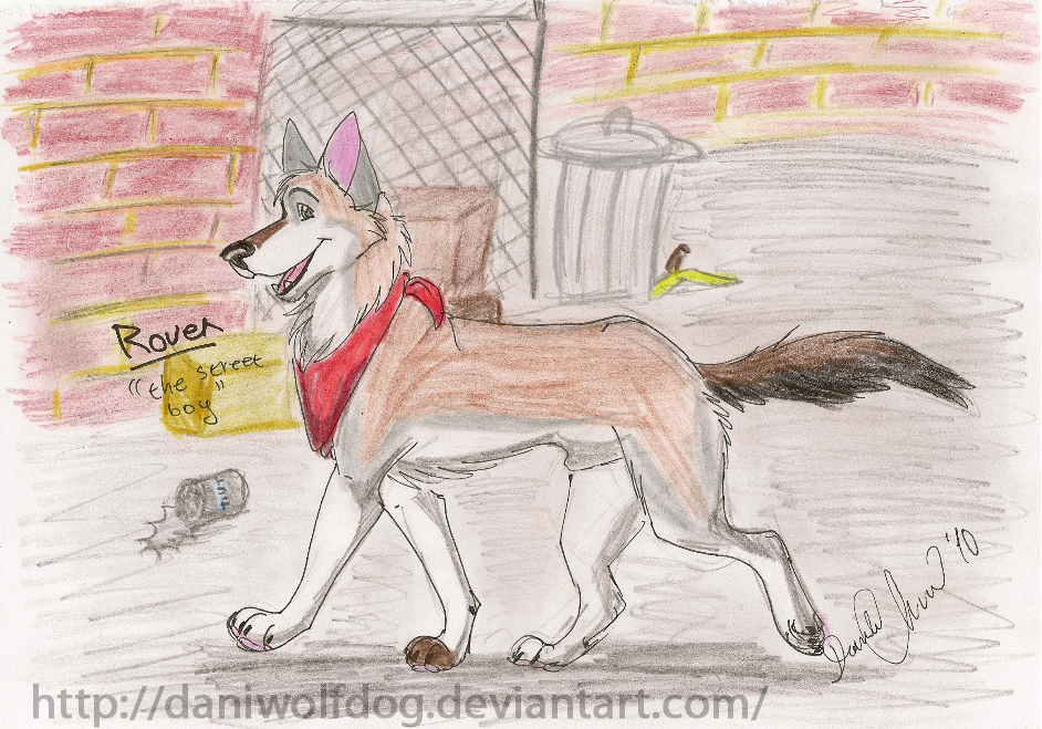 Just Rover