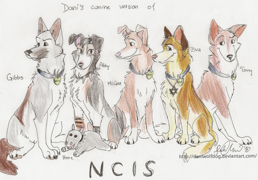 My canine version of the NCIS team