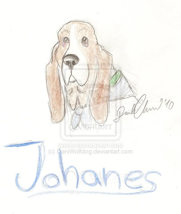 Johanes