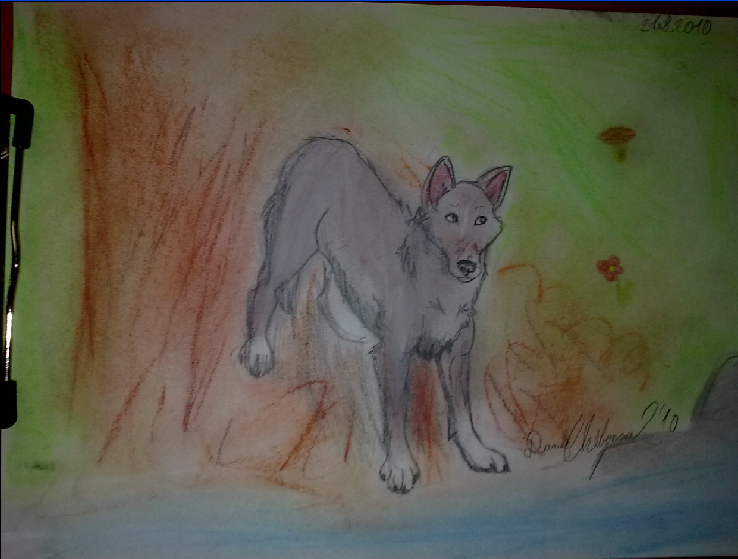 A wolf at a river...