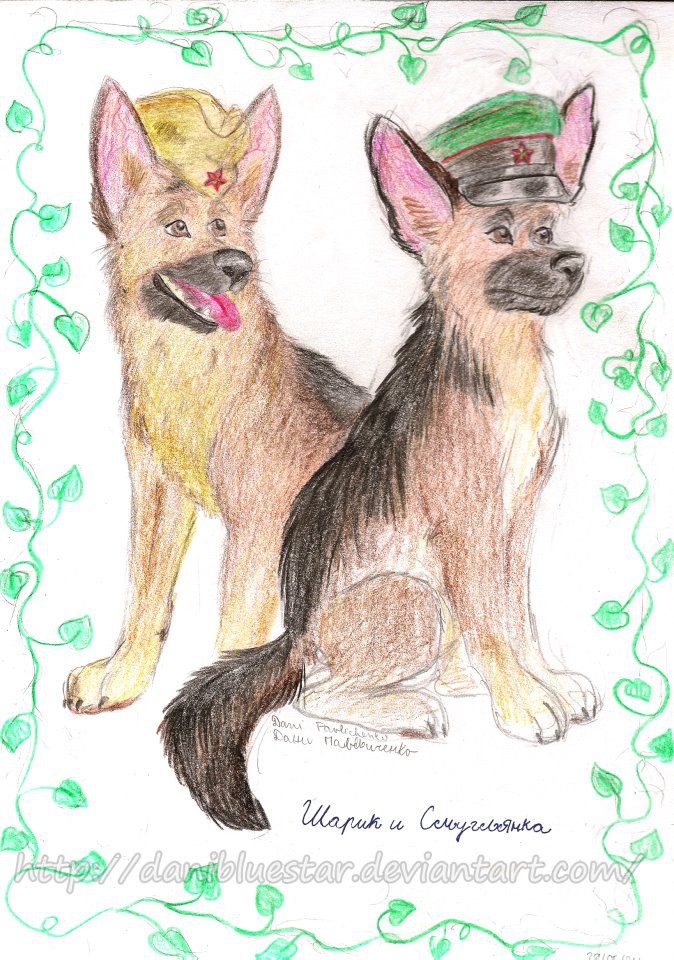 Sharik and Smuglianka