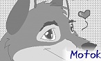 motok