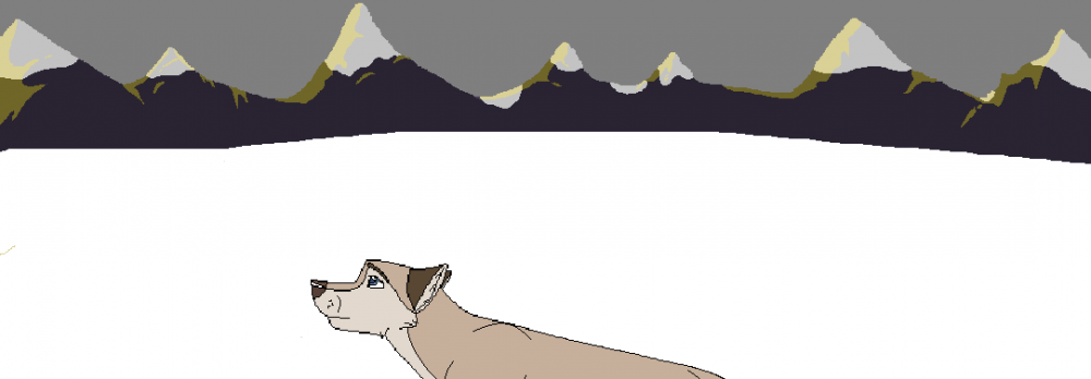 Aleu 