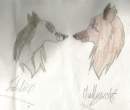 Old mully wolf nd Jodi-lion