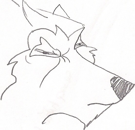 Old Doggie
