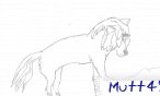 mutt49