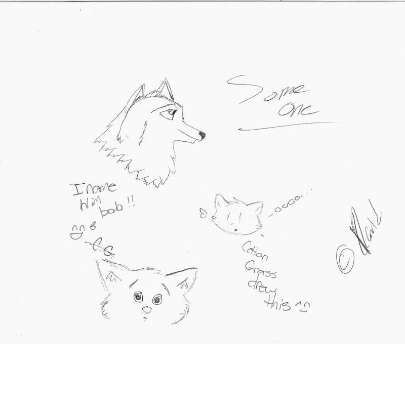 bored in the class room