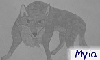 myia