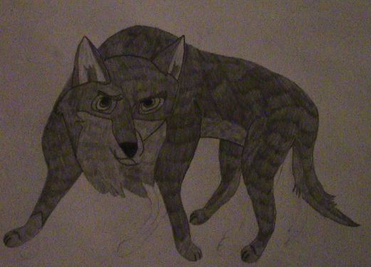 Balto Sketch
