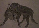 Balto Sketch