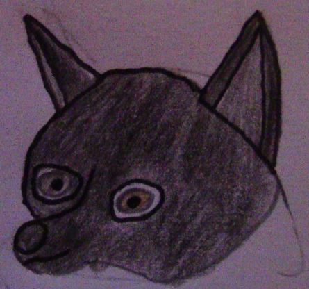 Raven