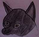 Raven