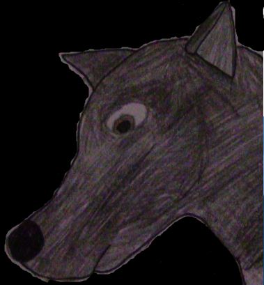 Raven in Darkness