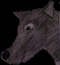 Raven in Darkness