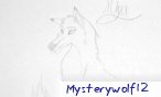 Mysterywolf12