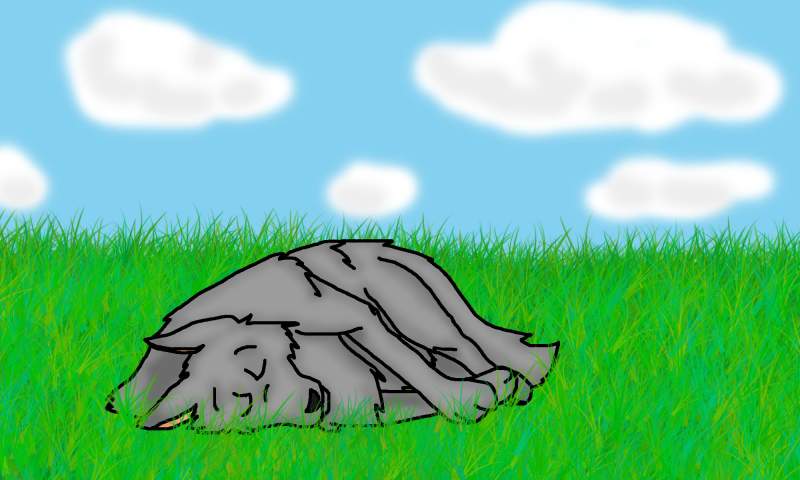 Sleeping (random) wolf
