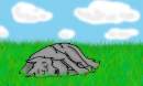 Sleeping (random) wolf