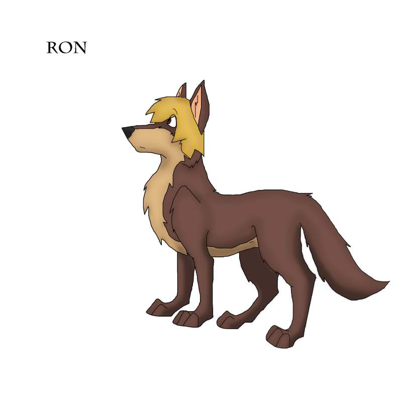 Ron