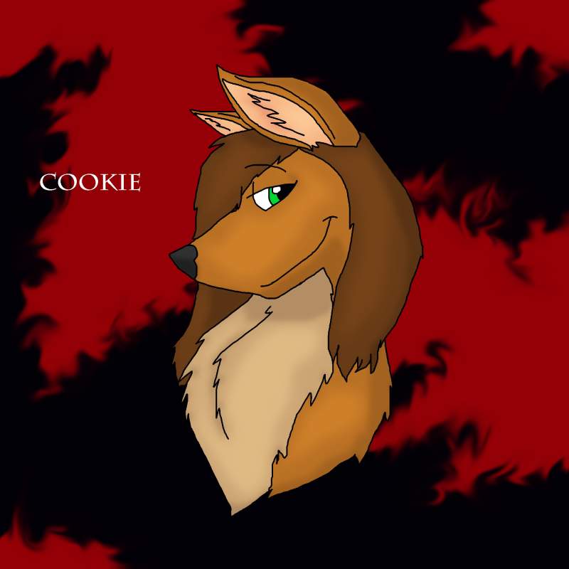 Cookie 