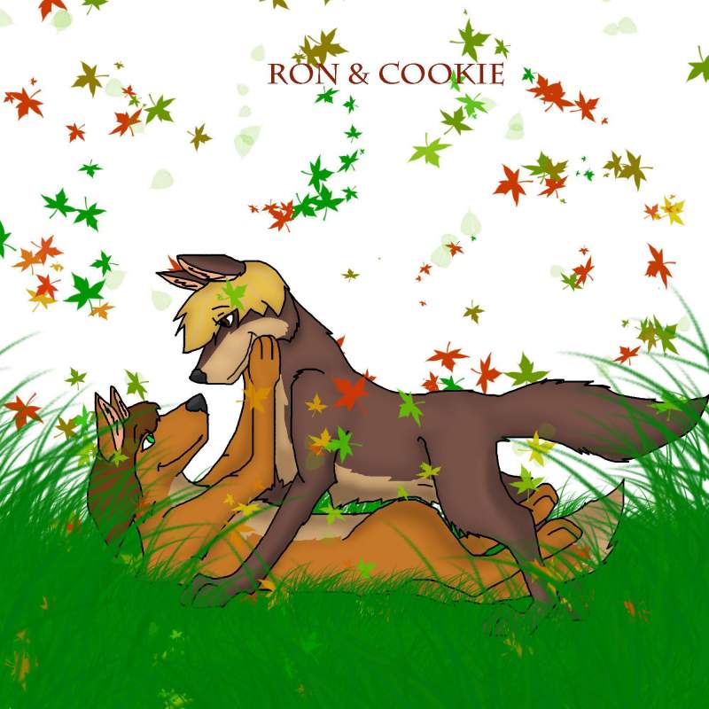 Ron and Cookie