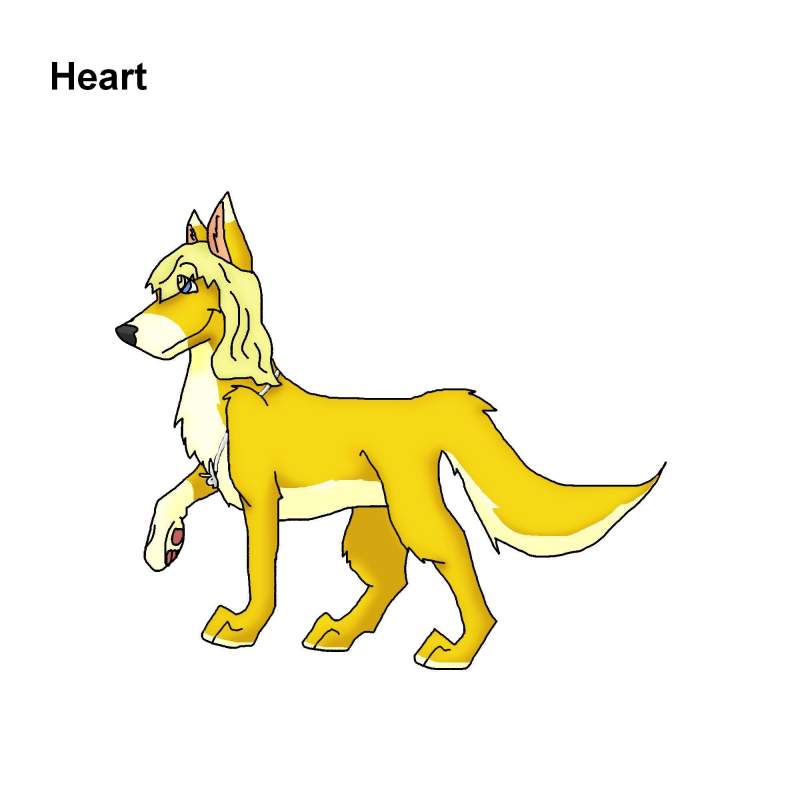 Heart