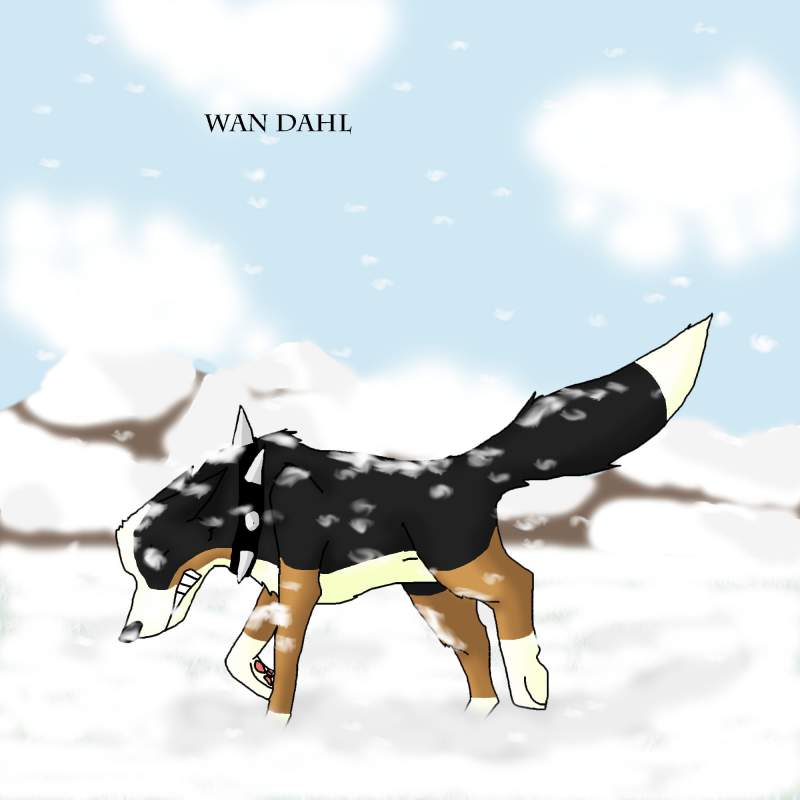 Wan Dahl in the blizzard