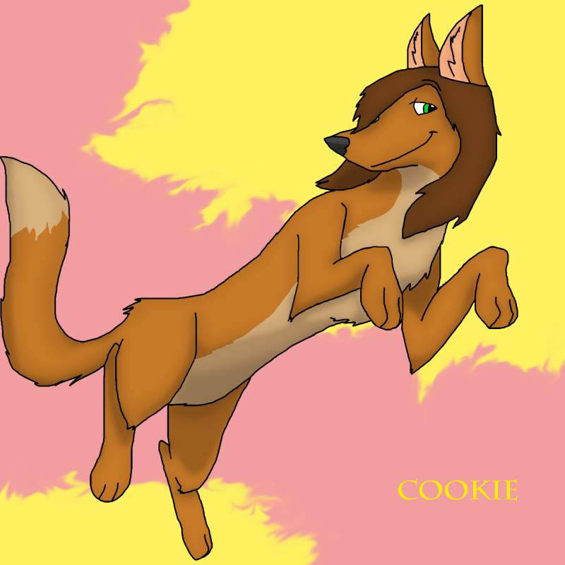 Cookie