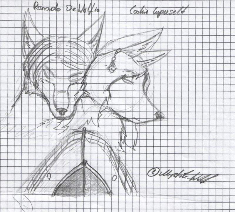 Titanic (cover)