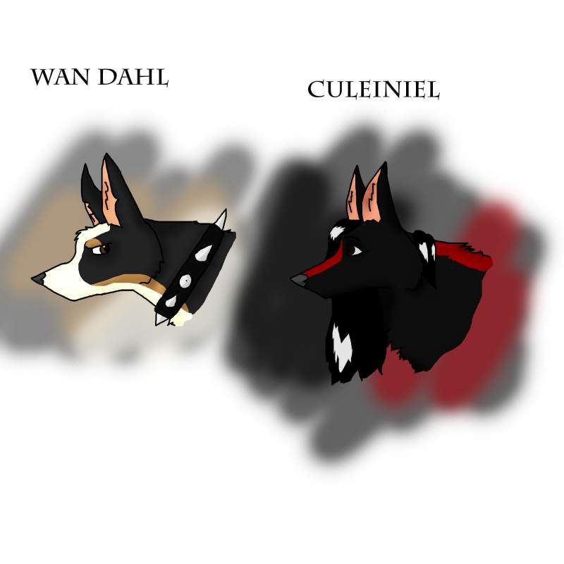 Wan Dahl & Culeiniel