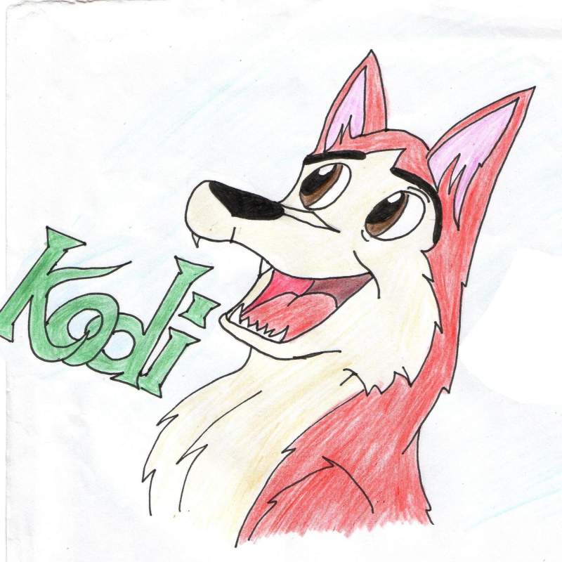 Kodi