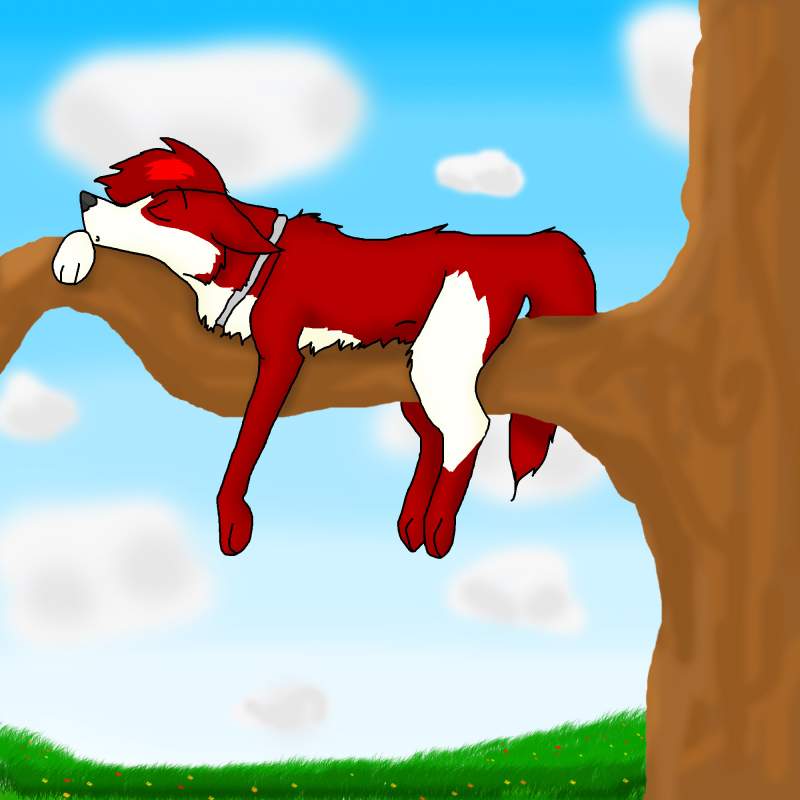 a sleeping Fusel ^^