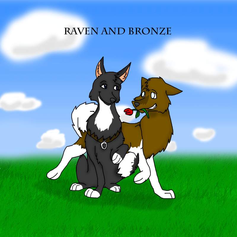 Raven and Bronze