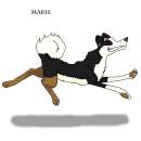Marie (adult)