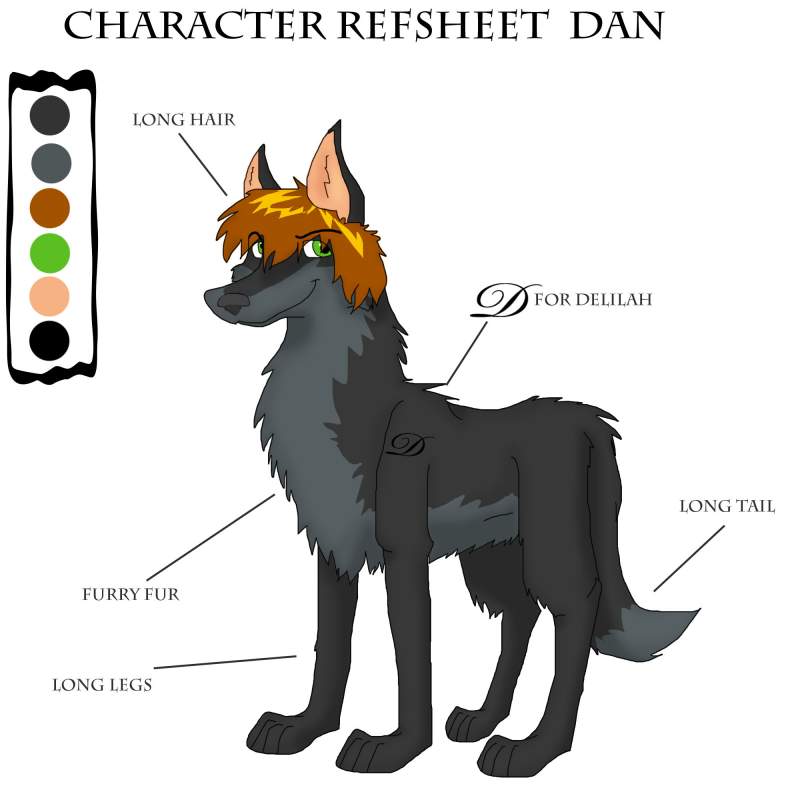 Dan refrence sheet of Dan