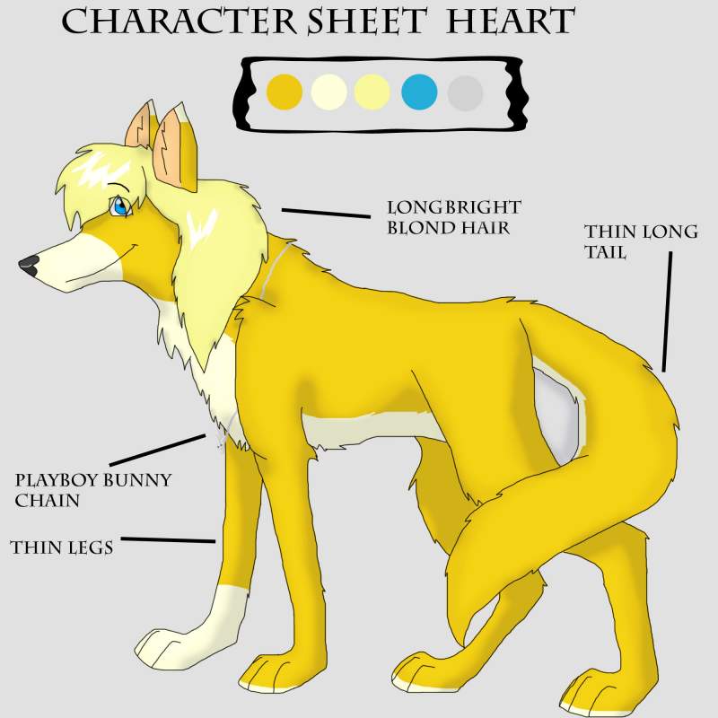Refrence sheet   Heart