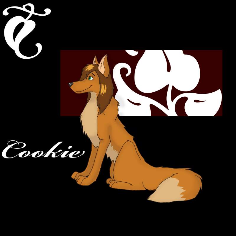 Cookie