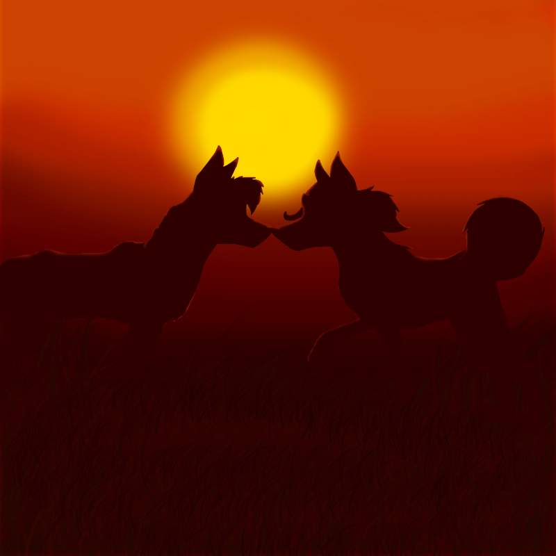 sunset kiss