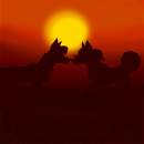 sunset kiss